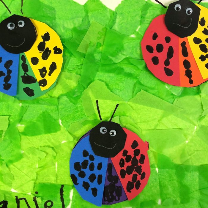 Colorful Ladybugs