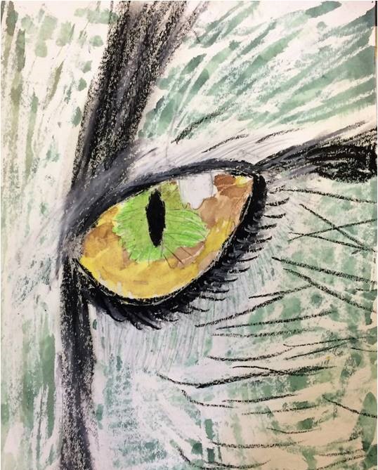 Animal Eyes Art Lesson for middle school kids - Leah Newton Art